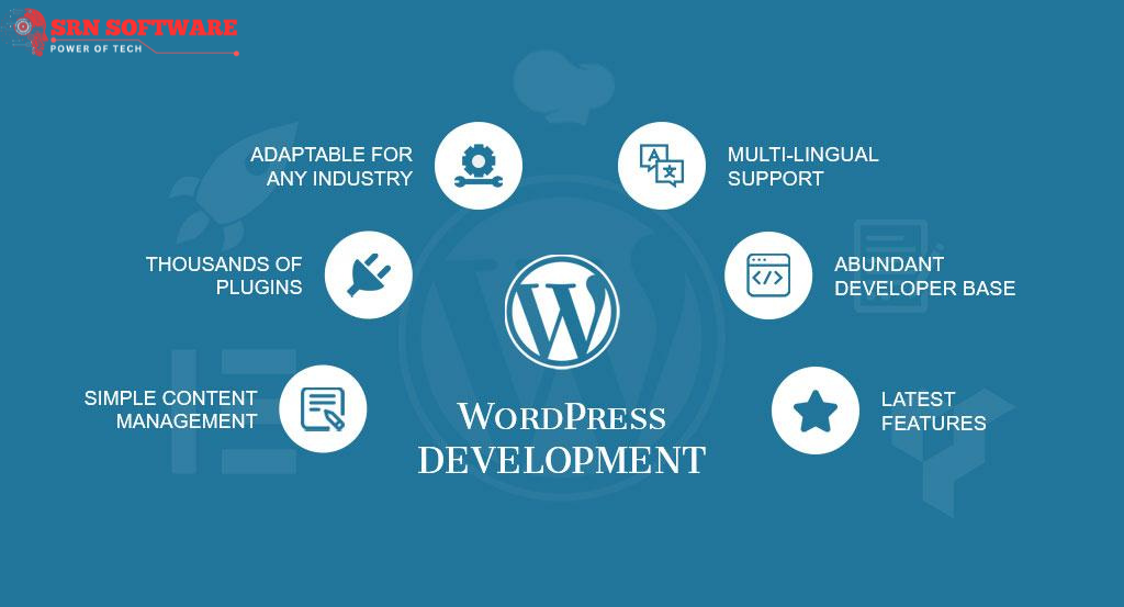 WordPress Website Services In Delhi