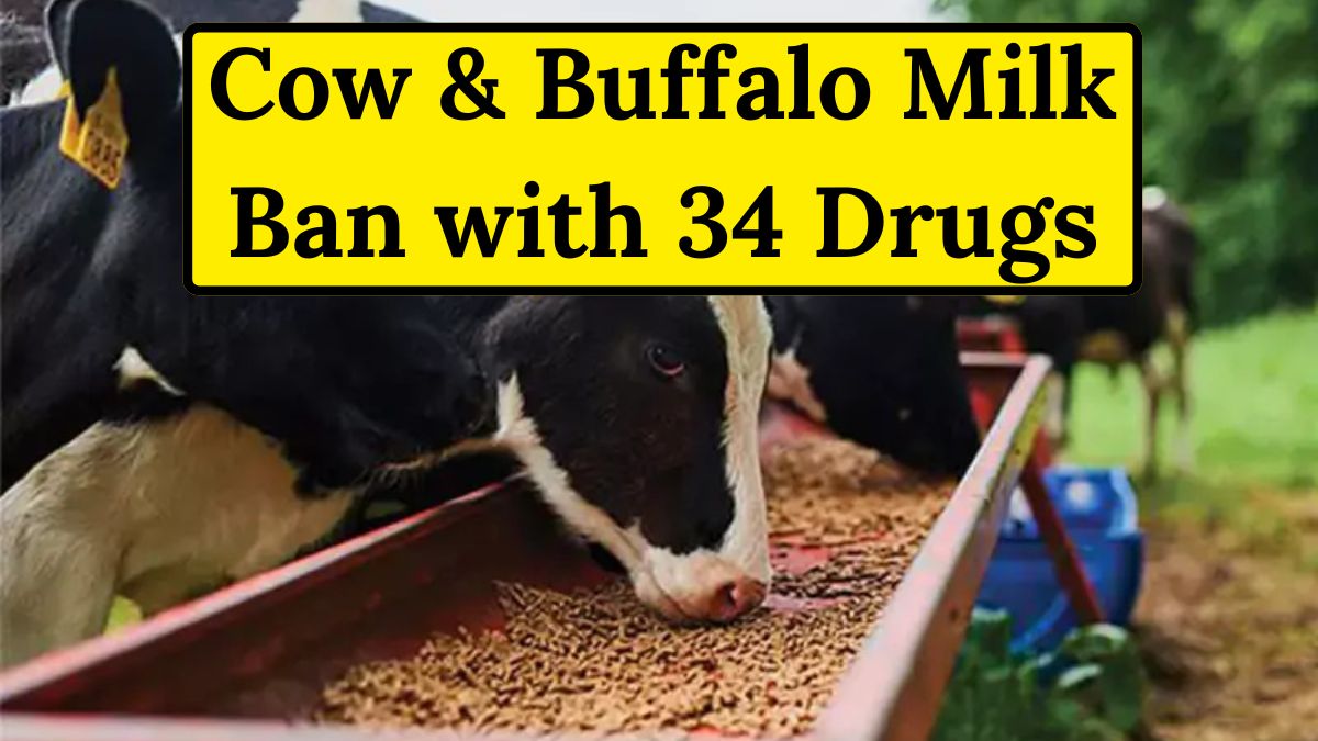 Cow & Buffalo Milk Ban with 34 Drugs