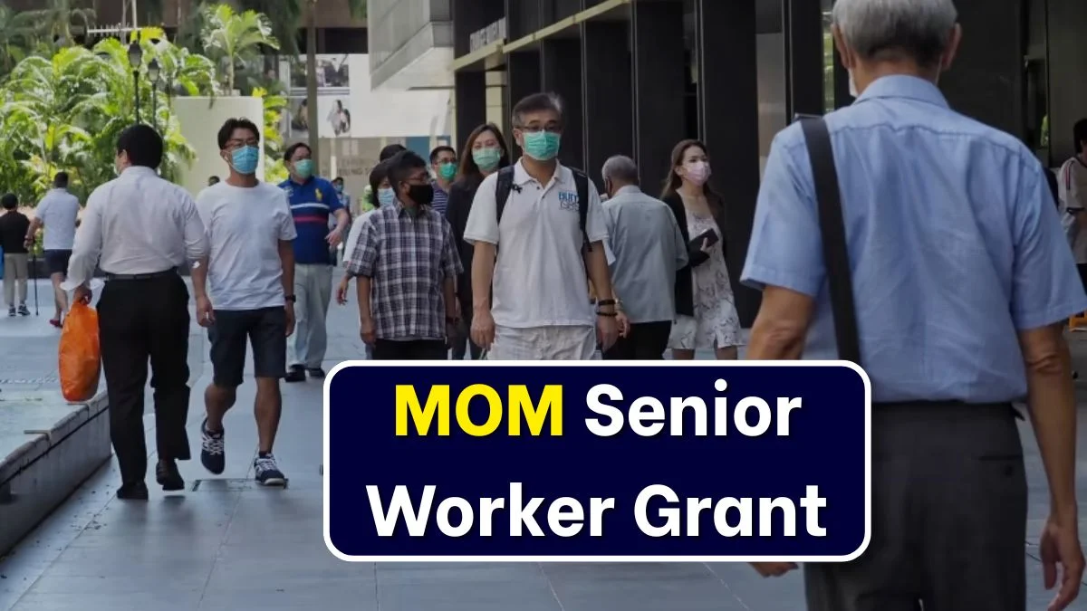 MOM Senior Worker Grant: MOM Extends Part-Time Re-employment Grant to 2027 Singapore